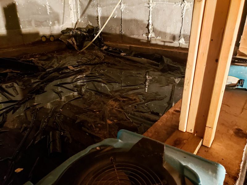 Water Extraction Service in Chandler, AZ