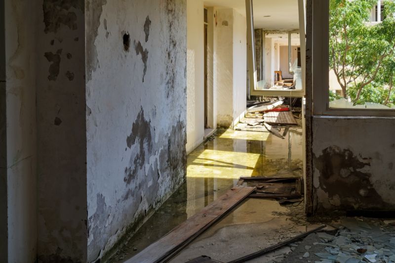 Water Removal Service in Phoenix, AZ
