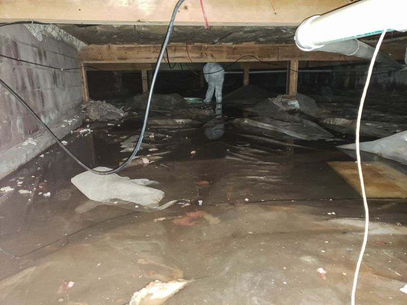 Wet Basement Solutions in Fort Myers, FL